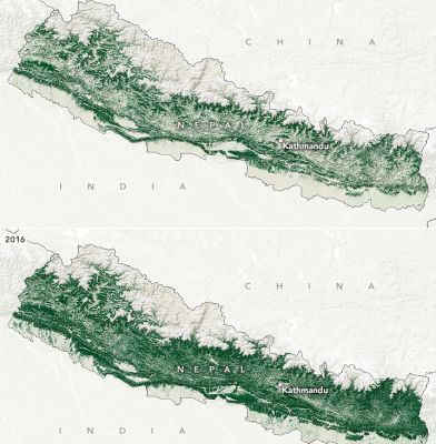 Как Непал восстанавливал леса - новости экологии на ECOportal