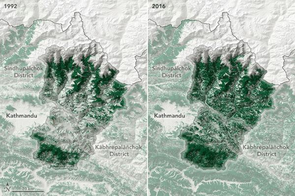 Как Непал восстанавливал леса - новости экологии на ECOportal
