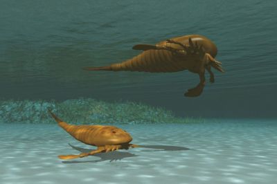 Обнаружен ископаемый скорпион длиной более метра - новости экологии на ECOportal