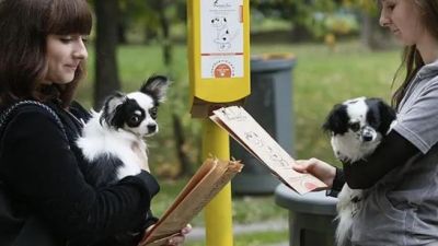Собачников обяжут использовать бумажные пакеты для отходов собак - новости экологии на ECOportal
