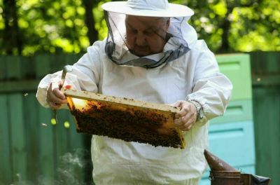В Госдуме предложили дать льготы пчеловодам - новости экологии на ECOportal
