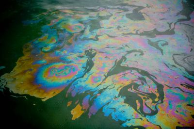 В Приморье прокуратура проверит информацию о разливе нефти у острова Русский - новости экологии на ECOportal