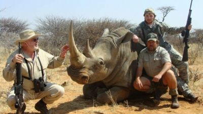 Экологи бьют тревогу: в Намибии браконьеры уничтожают последних носорогов - новости экологии на ECOportal