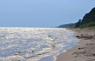 В Псковской области начнут расчистку Чудского озера - новости экологии на ECOportal